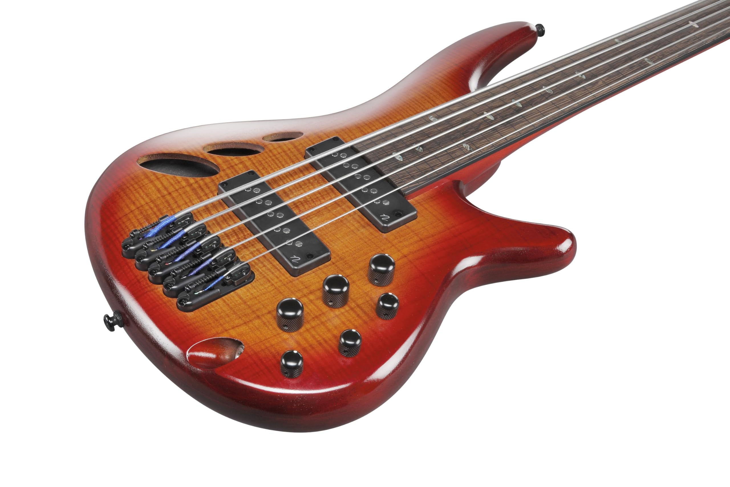 Amazon.com: Ibanez SR Bass Workshop Fretless 5-string Electric