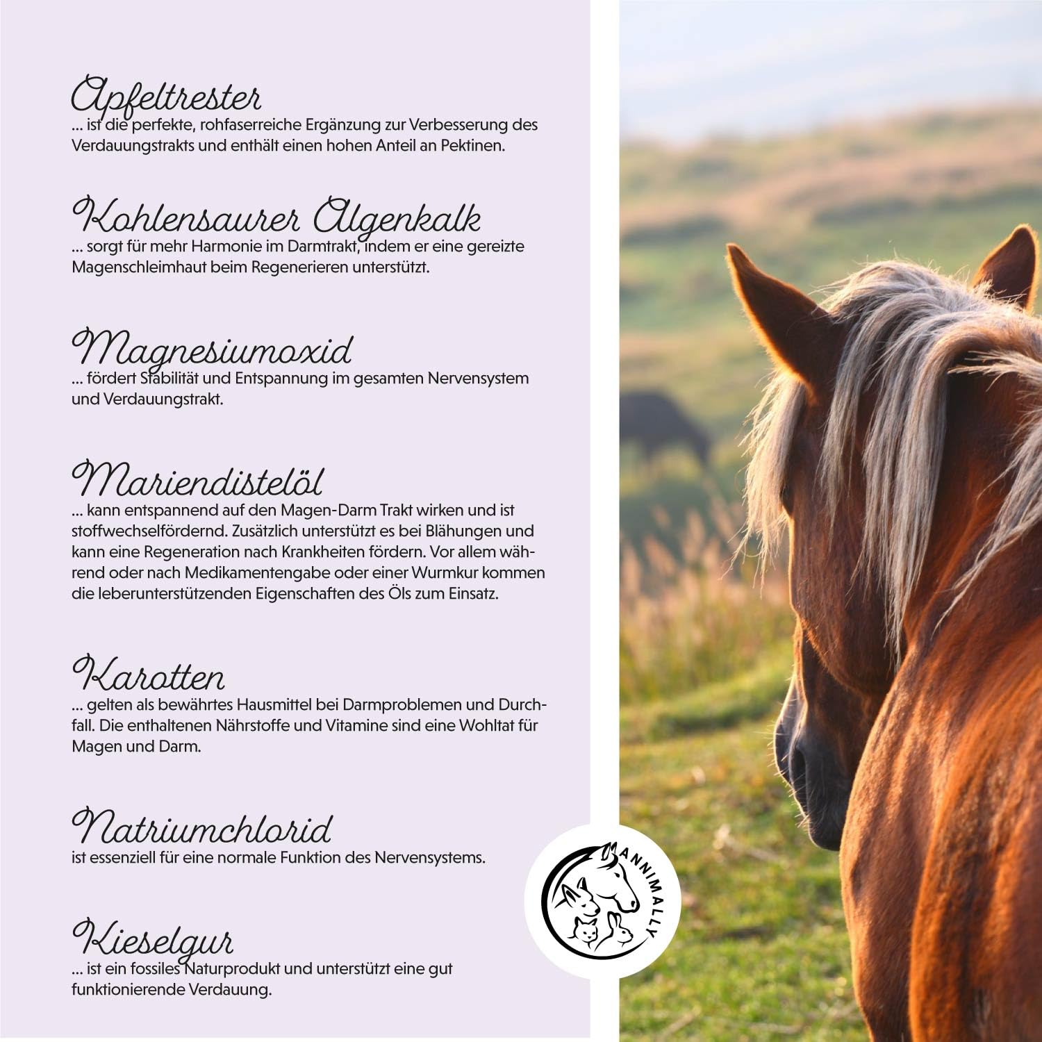 Annimally Probiotika Pulver für Pferde - 750g Darm Pulver mit Lebendhefe für eine gesunde Darmflora - Darmbakterien zur Darmsanierung beim Pferd, bei Kotwasser & Durchfall