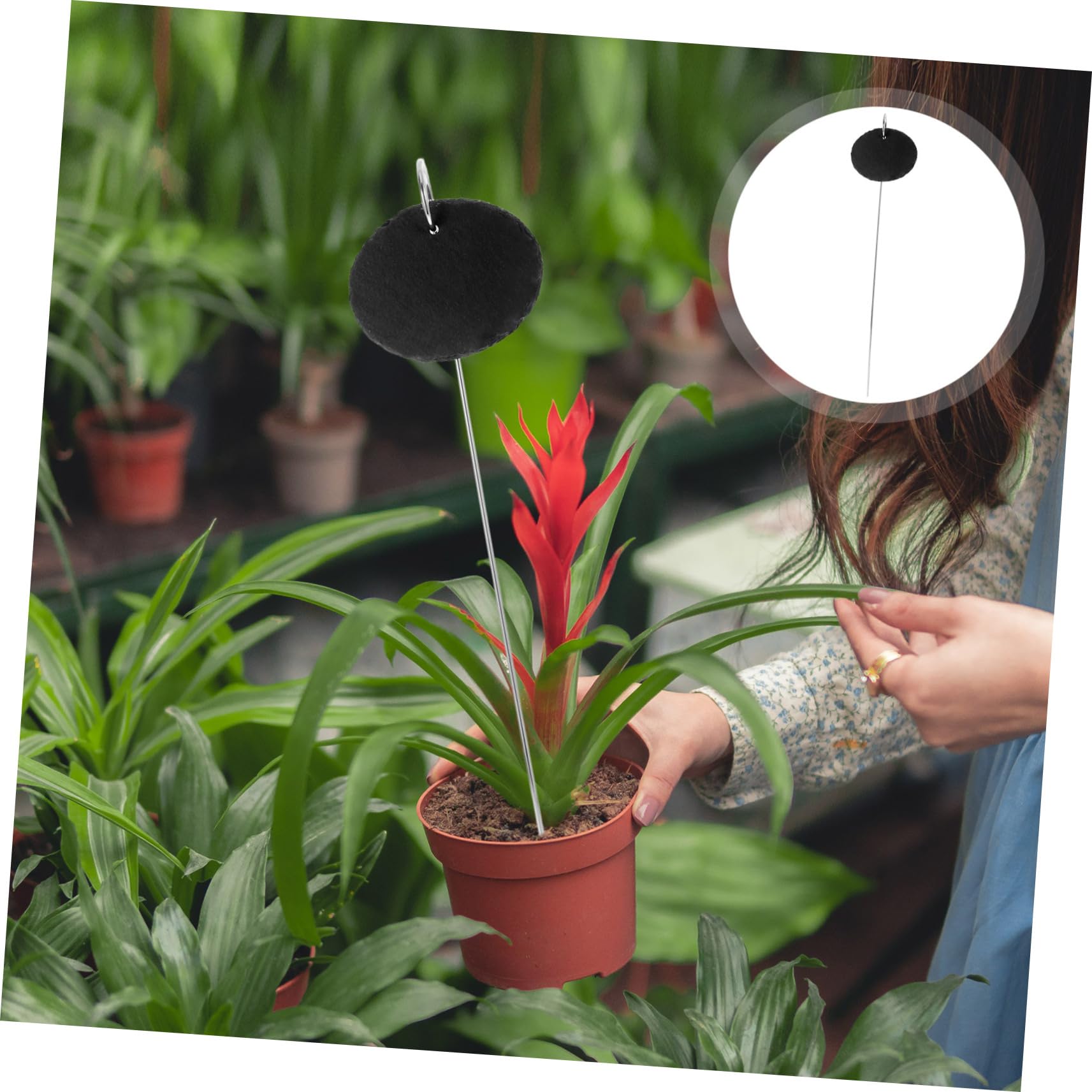 BESPORTBLE 10stücke Pflanzenschilder Aus Wiederverwendbare Gartenetiketten Für Blumenbeete Töpfe Und Gewächshäuser Wetterfest Und Leicht Für Drinnen Und Draußen