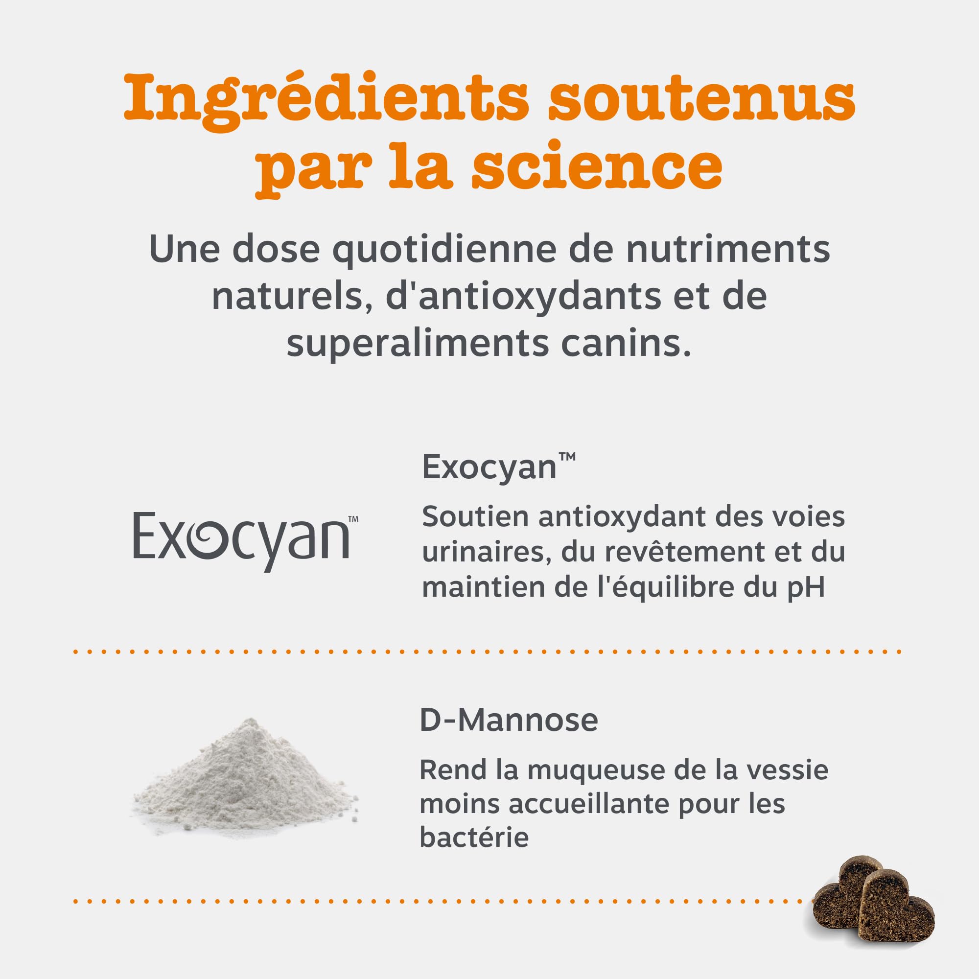 Zesty Paws Bouchées Soin Urinaire Chien | Voies Urinaires, Immunité, Équilibre du pH | Cranberry, D-Mannose, Vitamine C | Saveur Dinde | Usage Quotidien | 90 Bouchées