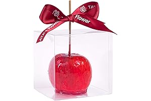 Clear Treat Boxes Small Candy Gift Boxes 4"x 4"x 4"