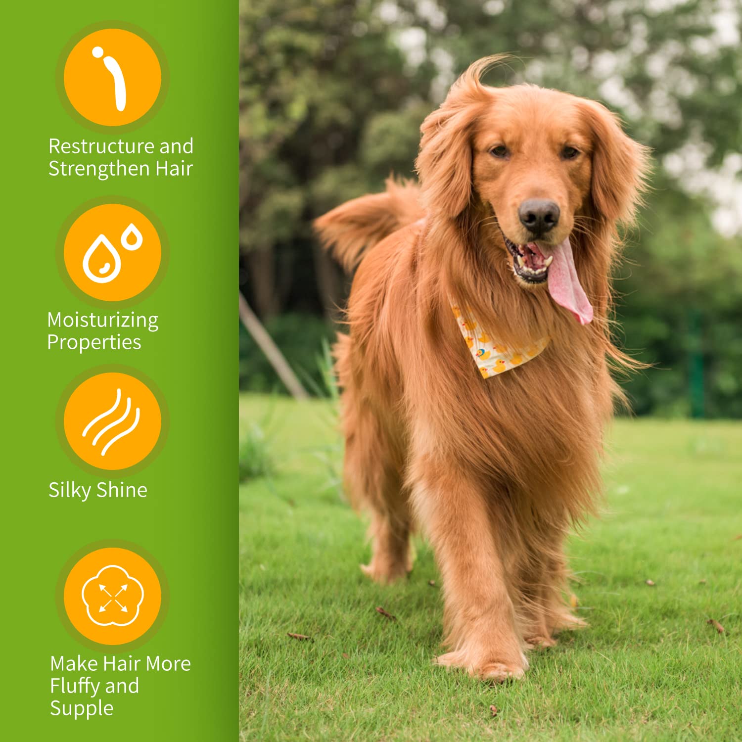 Nobleza Shampoo per Cani Pelo Lungo, Effetto Districante, Shampoo Cane Pelo Lungo, Antibatterico e Dermoprotettivo, Dermatite e Ipoallergenico con Lavanda e Profumo di agrumi 250 ml