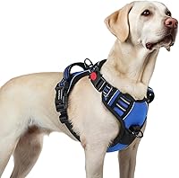 rabbitgoo No Pull Dog Harness Large L, 3 Buckles Adjustable Padded Vest with Handle, Reflective Blue for Secure Walks