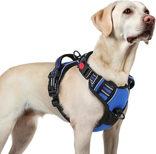 rabbitgoo No Pull Dog Harness Large L, 3 Buckles Adjustable Padded Vest with Handle, Reflective Blue for Secure Walks