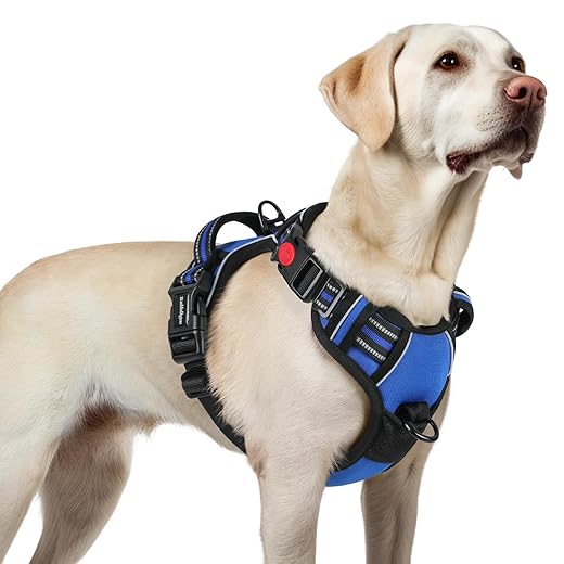 rabbitgoo Dog Harness for Large, No Pull Pet Harness with 3 Buckles, Adjustable Soft Padded Vest with Control Handle, Walking Reflective Pet Vest for Large Dogs, Blue, L
