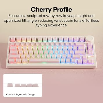 EPOMAKER Creamy Jade PBT Keycaps, 142 Keys, Double Shot, Cherry Profile, 60%/75%/96%/Full Size, Custom Keyboard Keycaps Set for Mechanical Gaming Keyboard (Pink)