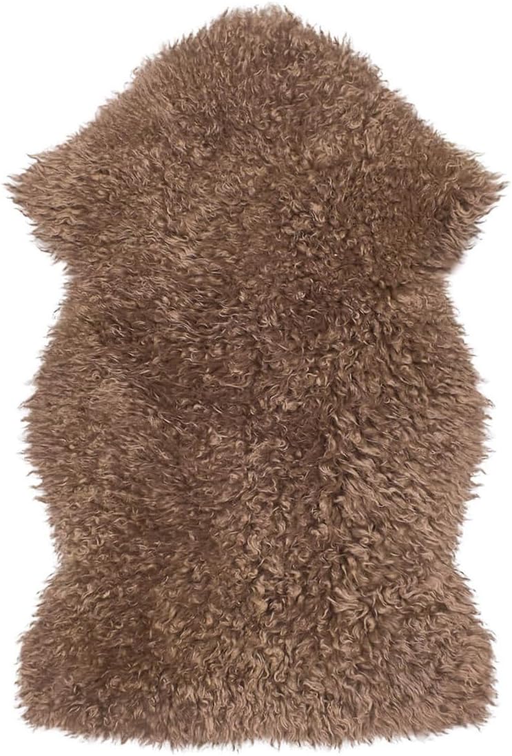 Genuine Sheepskin Rug – Soft & Fluffy Curly Hair Single Pelt (2' x 3') Dark Beige Lambskin Area Rug for Bedroom or Living Room – Made in Argentina