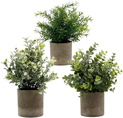 Amazon.com: Zcaukya Small Potted Artificial Plants, Artificial Eucalyptus Plants Fake Rosemary White Baby's Breathe 9.5" Plastic Greenery Plants for Home Office Garden Decor, Indoor & Outdoor, Set of 3 (White): Home &