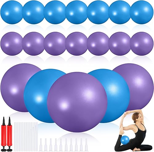 Miniatura 7 de Sotiff 20 pelotas pequeñas de ejercicio de pilates de 9 pulgadas, mini pelotas de barra de yoga para estabilidad, fitness, terapia física, Rosa,