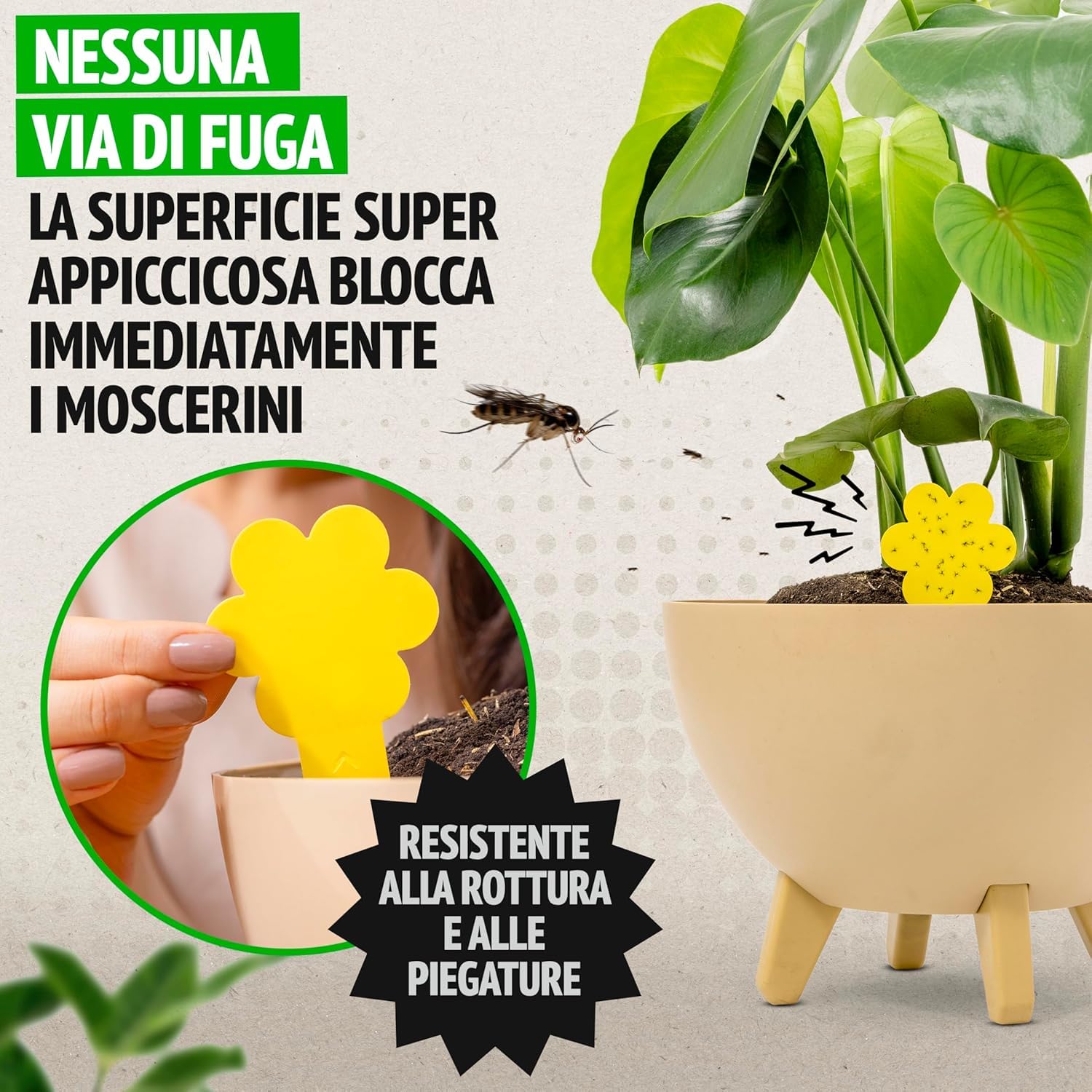 Super Ninja Plant Fly Traps – 30 Pieces, Eco Adhesive Baits, Catch Soil Fly in the Home, Insecticide Free, Safe for Indoor/Outdoor Use, Duration 3 Months - 3