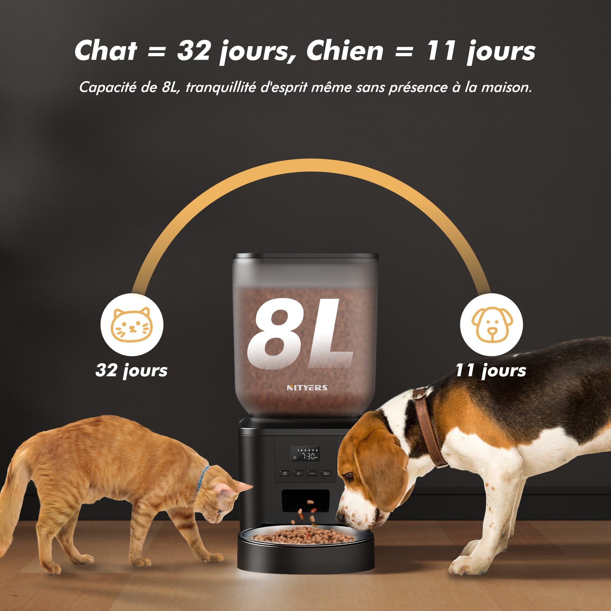 Distributeur Croquettes Chat et Chien Automatique, 8L Grande Capacité, 1-6 Repas par Jour, avec Cuve en Acier Inoxydable, Enregistreur Vocal 10s