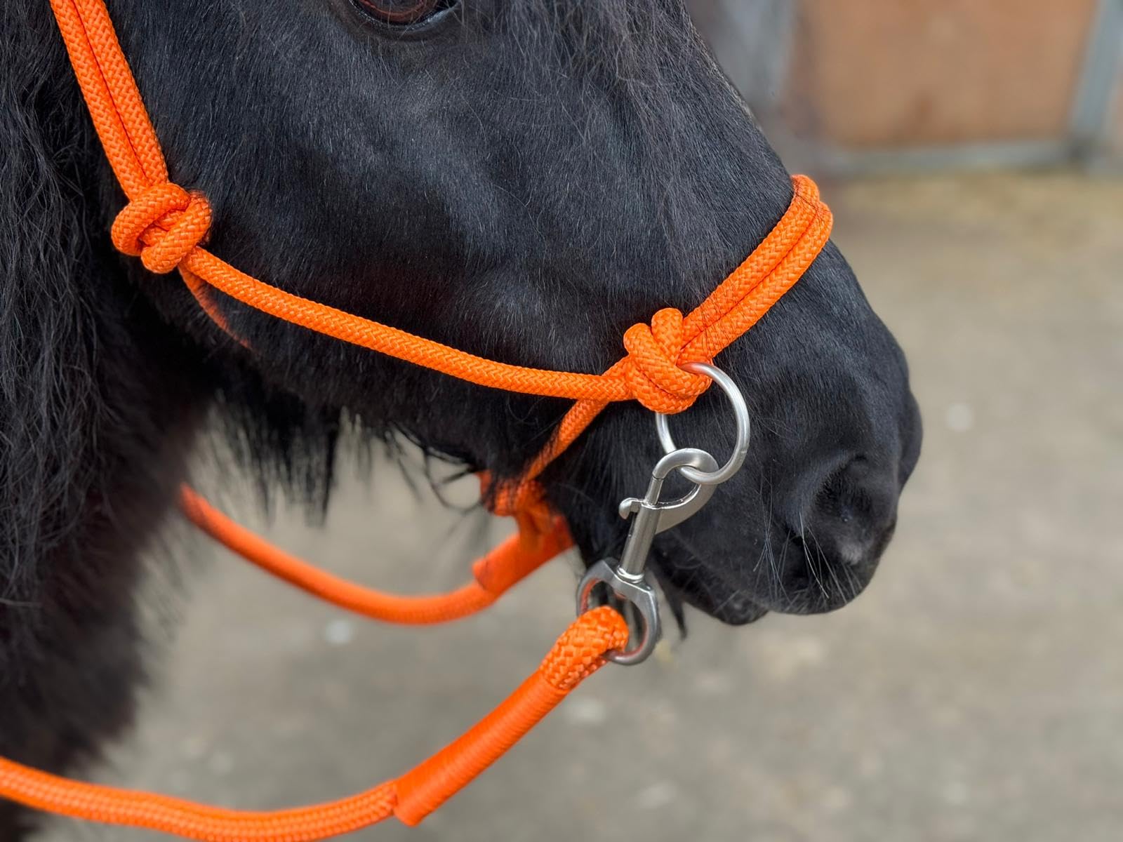 Rope headcollar with Reins for use of Bitless Horse Riding Full to Mini Shet 5 Colours (Orange, Full) - Image 3