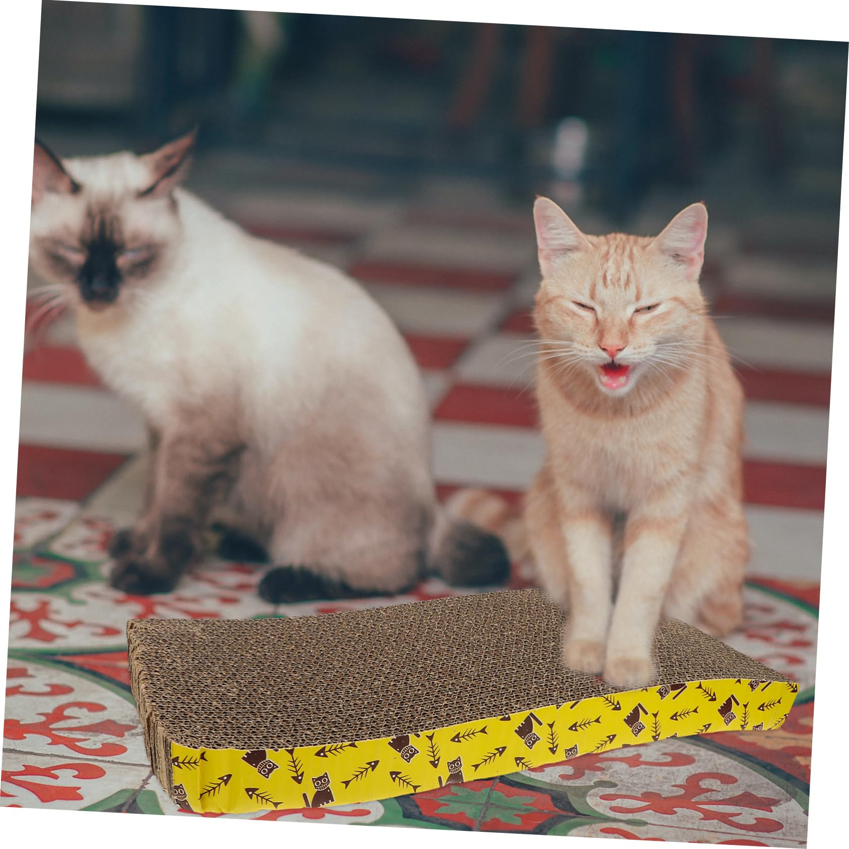 TOYANDONA Tiragraffi in Cartone Ondulato per Gatti e Kitten, Tavola Scratching Board per Allenamento e Gioco, 2pezzi Stabilità Elevata