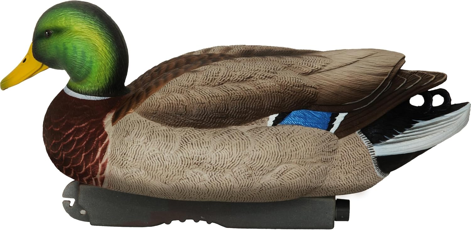 Avery PG XD Series Mallards-Active Pack (1/2 Dozen)