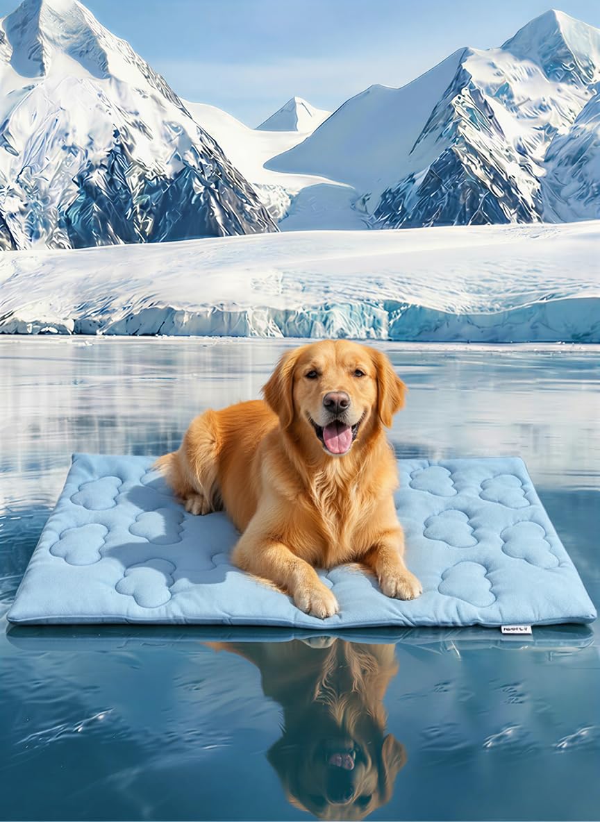 Huafly Dog Cooling Mat,Dual-Sided Cooling Mat for Dogs–Cooling Fabric for Summer,Velvet for All Seasons–Portable for Crate,Car Seat,Sofa&Floor,Machine Washable,Keeps Cats,Dogs&Puppies Cool,Blue XL