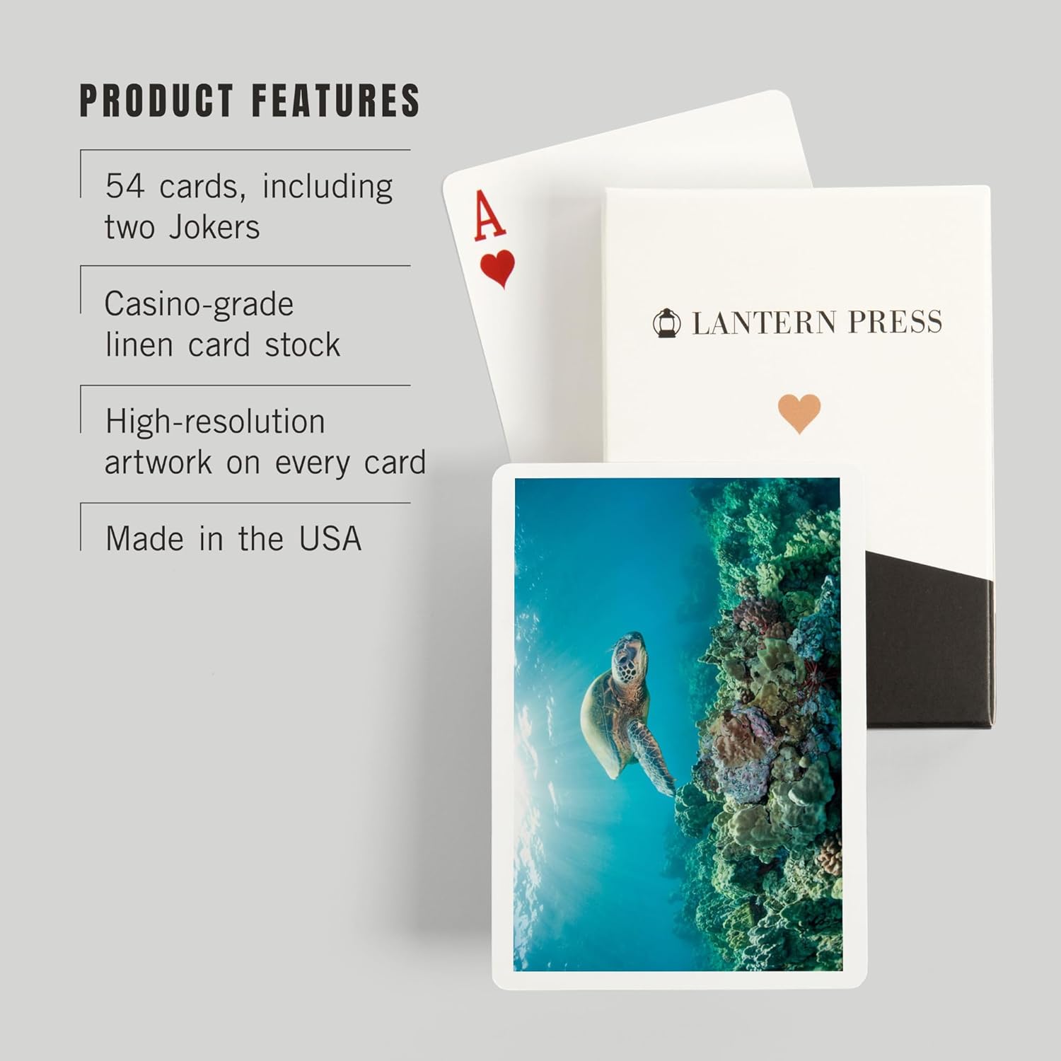 Lantern Press Sea Turtle and Coral Reef, 52 Playing Cards for Adults, Poker Size Card Deck