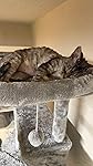 Review Image by JK5354 JK5354