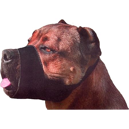 muzzle cloth