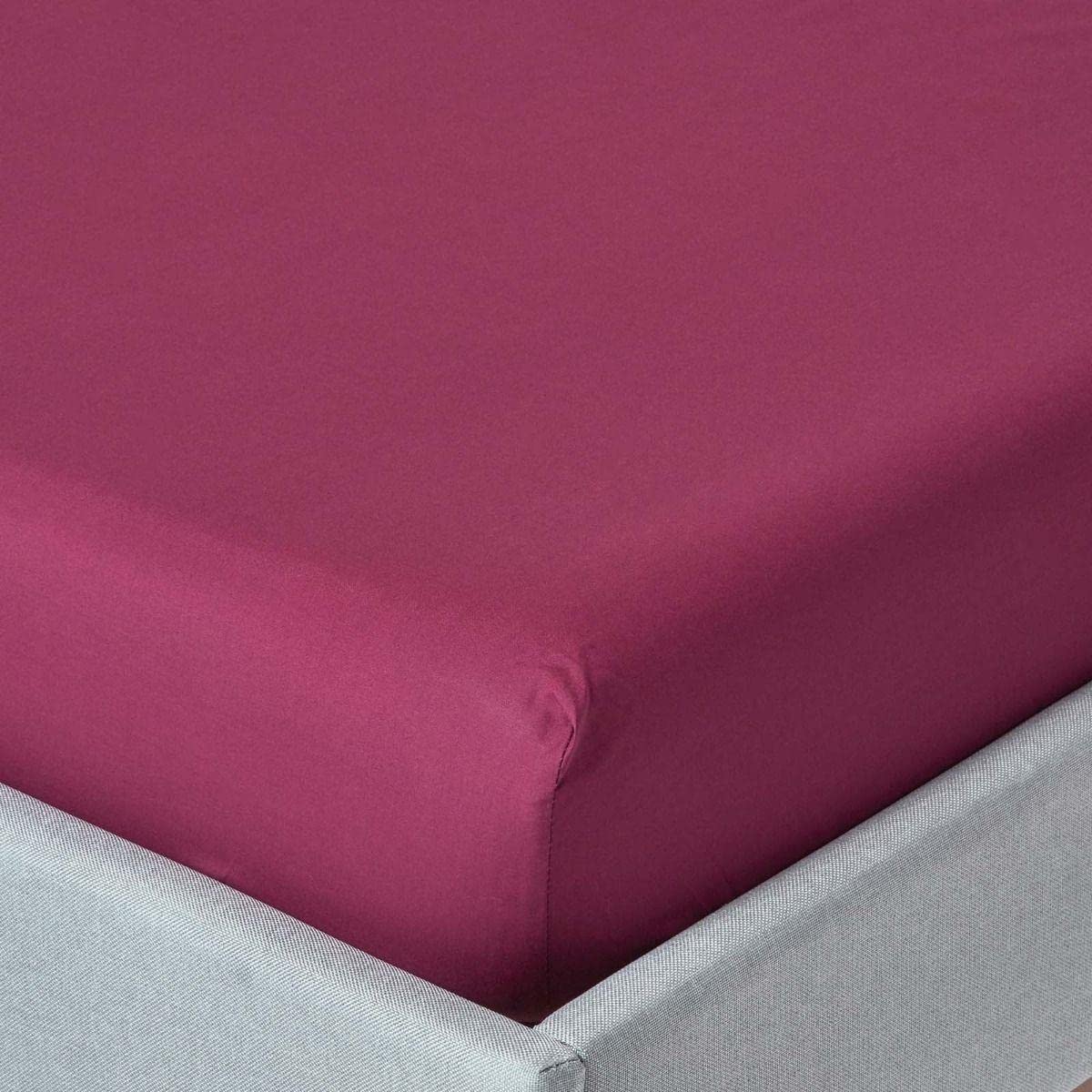 Homescapes Bordeaux/Plum Fitted Sheet for Mattress Size 100 x 200 cm 100% Egyptian Cotton 200 Percale Flat Sheet
