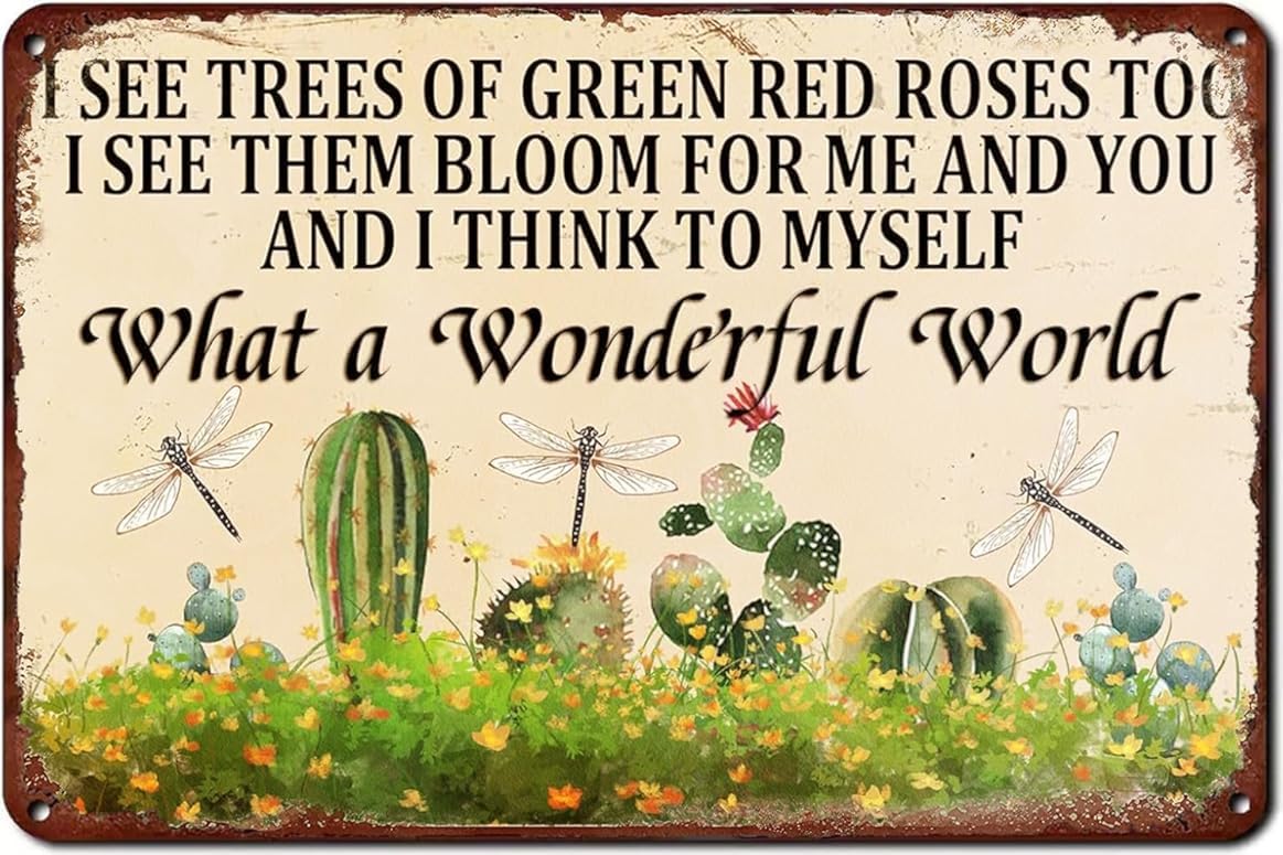 Bigccaee Flower And Dragonfly What A Wonderful World Vintage Garden Motivational Wall Art Posters Tin For Home Garden Yard Outdoor Man Cave Decor Metal Tin Sign 8X12 Inch