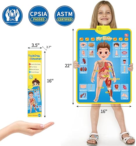 Miniatura 4 de My Body - Póster educativo interactivo para niños pequeños y niños para aprender partes del cuerpo, órganos, músculos y huesos, 16 x 22 pulgadas