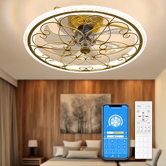 lifeholder Low Profile Ceiling Fan with Lights Remote 20" Ceiling Fan Flush Mount Enclosed Ceiling Light Dimmable Ceiling Lights Chandeliers Handmade Vintage Gold