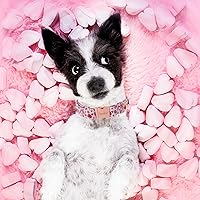 Vista 173 de Unique Style Paws - Collar rosa con hebilla de metal, duradero y lindo para perros pequeños a grandes