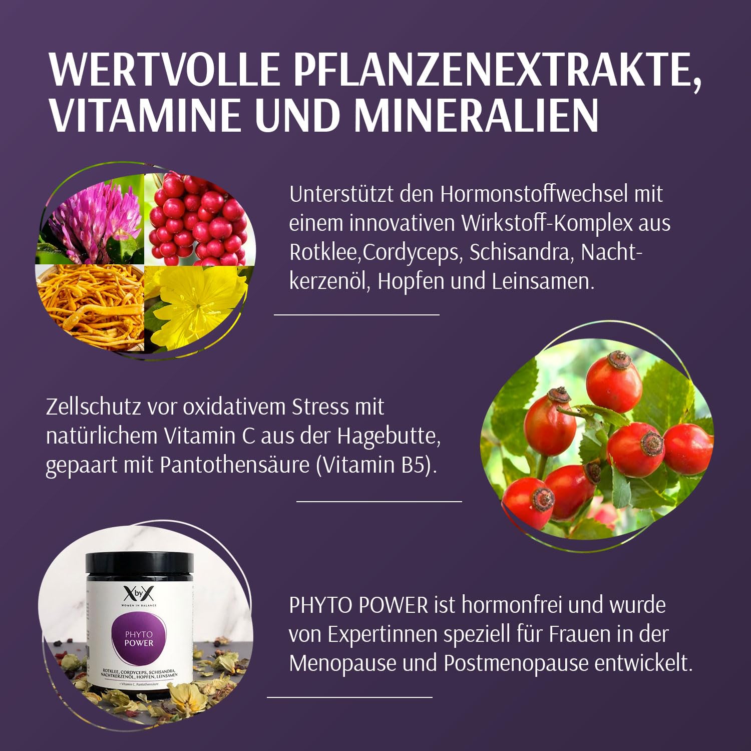 XbyX Phyto Power 90 g | 45 Portionen | Hormonelle Unterstützung ab der Menopause | Hormonfrei | Ohne Soja | Mit Rotklee, Cordyceps, Schisandra, Nachtkerzenöl, Hopfen & Leinsamen | Aus Deutschland