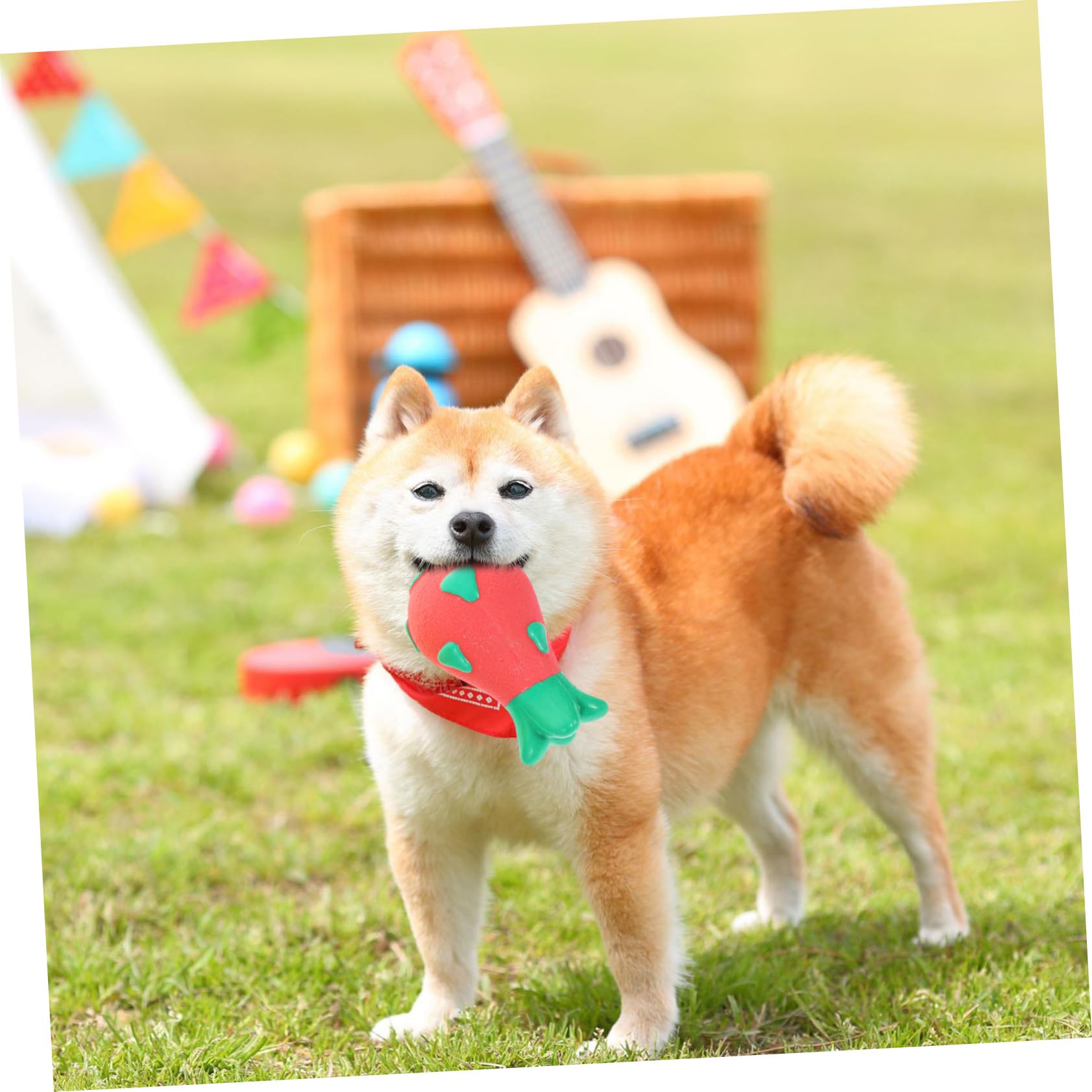 BESPORTBLE 8piezas Juguetes Interactivos para Cachorros Juguetes Molares para Perros Pequeños y Medianos Accesorios Adorables para Mascotas Sonido y Diseño De Frutas Piña y Pitaya