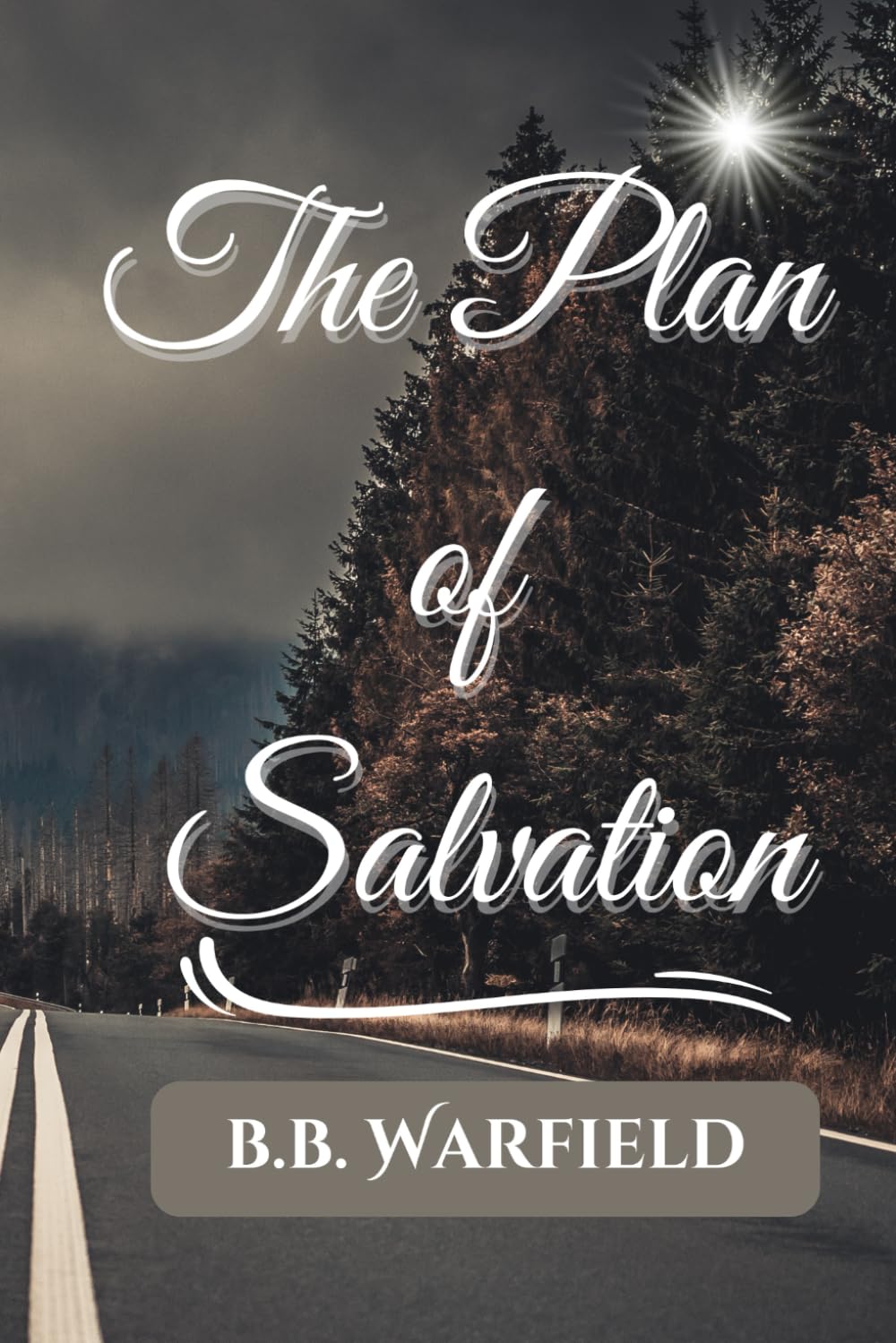 The Plan of Salvation: A Classic Exploration of God's Sovereignty and Grace | Reprint Edition (6x9 Paperback)