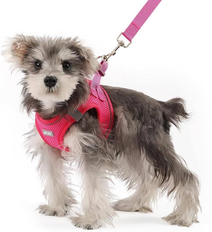 Peitoral Vest para Cães Pequenos com Guia, Mesh Respirável e Faixas Refletivas Bolux DC331-Pink-L