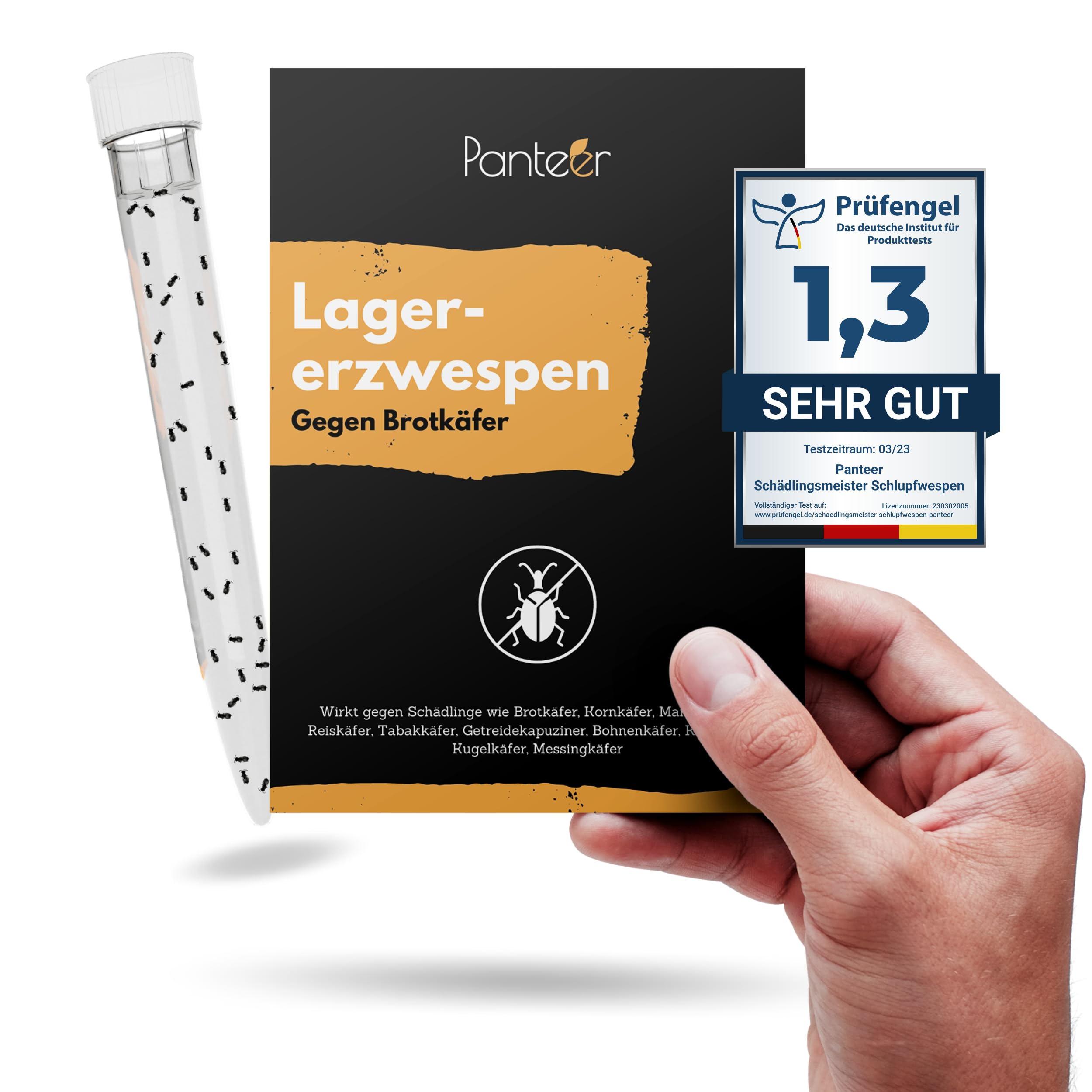Panteer ® Lagererzwespen - 40 Nützlinge - Brotkäfer bekämpfen und Kornkäfer bekämpfen - Besser als Brotkäfer Falle - Zwei Arten für hohe und kühle Temperaturen - Made IN Germany (1 Stück)