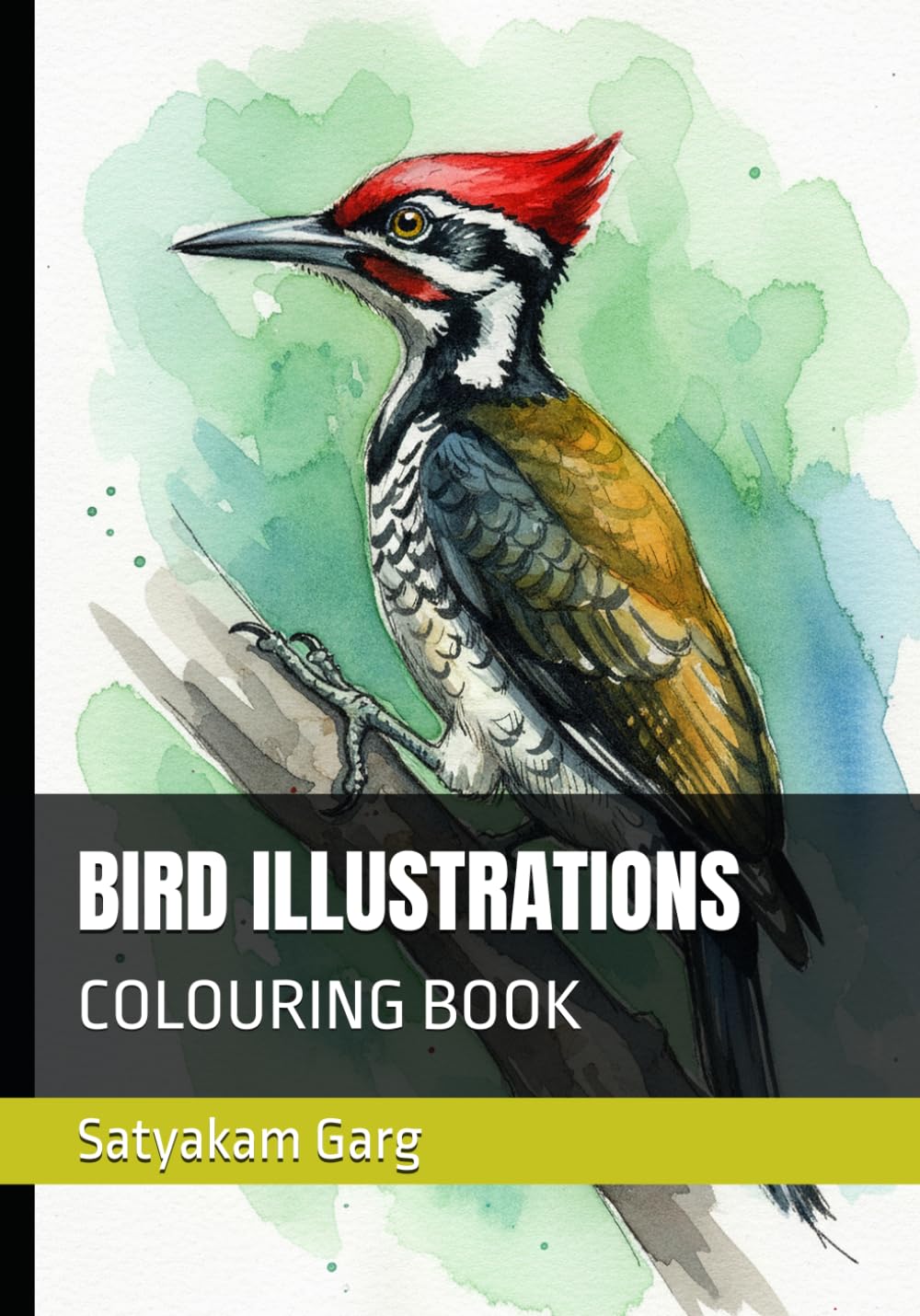 BIRD ILLUSTRATIONS: COLOURING BOOK