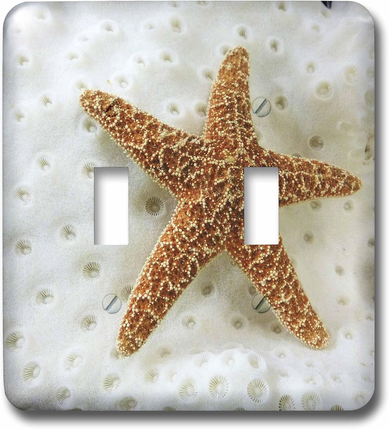 3dRose LLC lsp_41624_1 Star Fish on Coral Single Toggle Switch