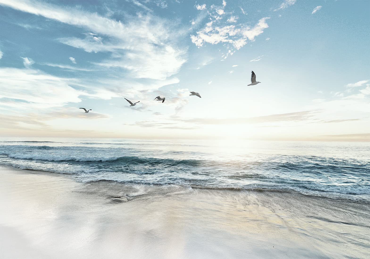 murando - Carta da Parati Adesiva Mare Spiaggia 392x280 cm Fotomurali Adesivi Murali Rivestimento Parete Moderna per Pareti Adesiva Muro Decorativo Fotomurale Ciel Uccelli Paesaggio Natura