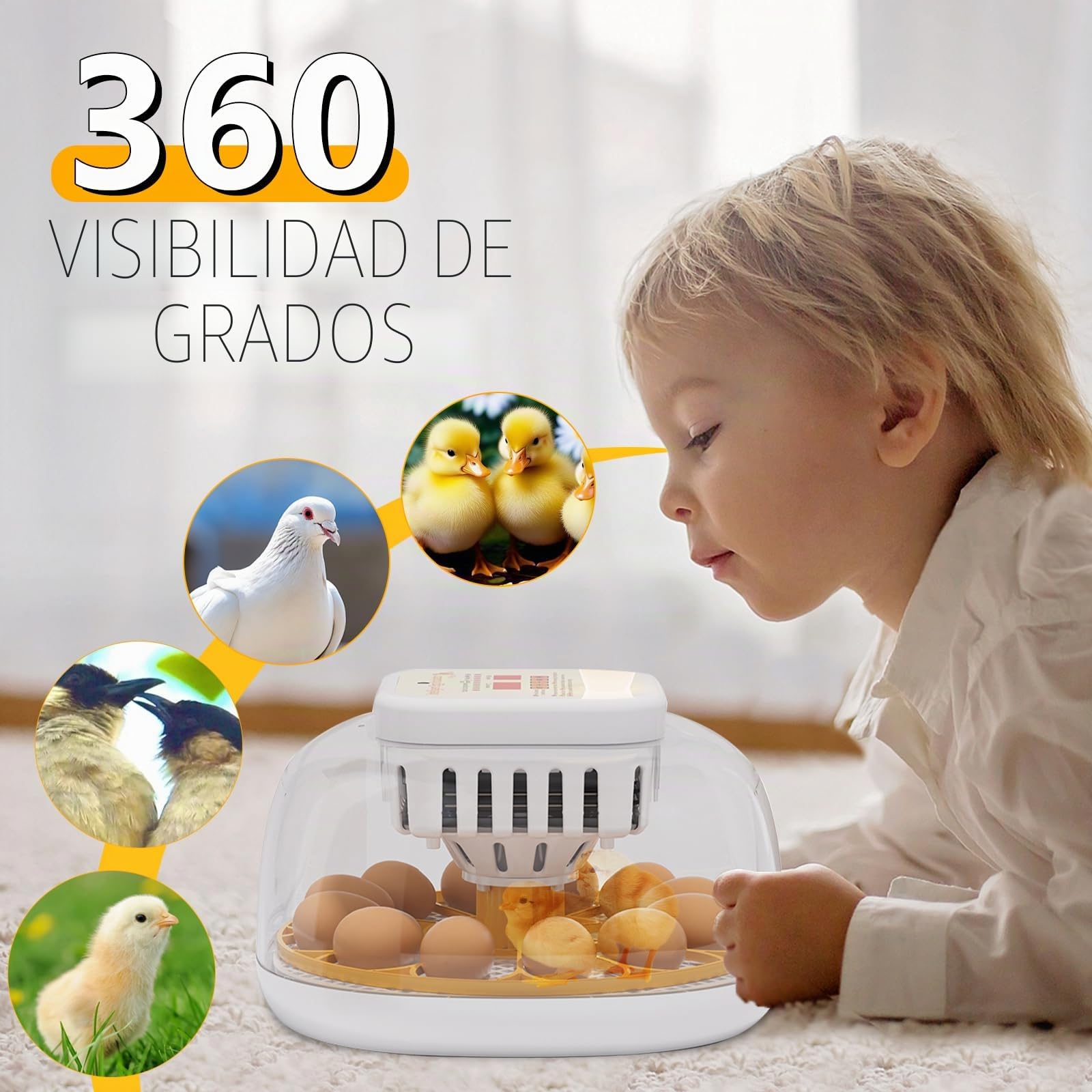 Incubadora de 12 huevos totalmente automática, con rotación automática de huevos, control de temperatura y humedad, adecuado para pollos, patos, gansos, codornices
