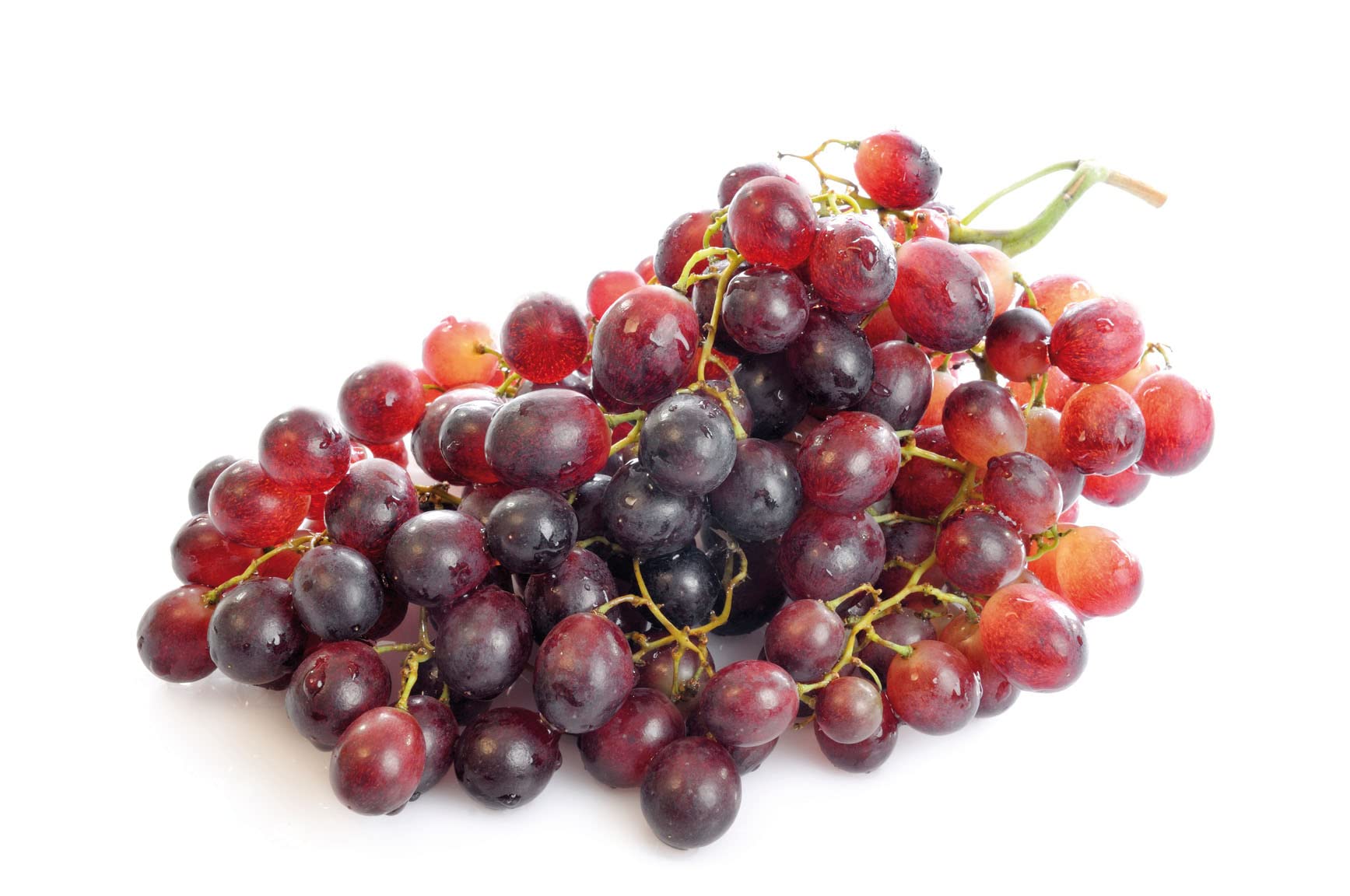 OPC Kapseln | 90 Kapseln hochdosiert | Bio Acerola Pulver, Sanddorn & Weißdorn verstärken die Wirkung | KEIN EXTRAKT