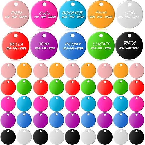 Sadnyy Blank Dog Pet Tags 25 mm for Engraving Aluminum Round Discs Smooth Metal Colorful Double Stamping Tag Pendants with Hole for DIY Craft Pet