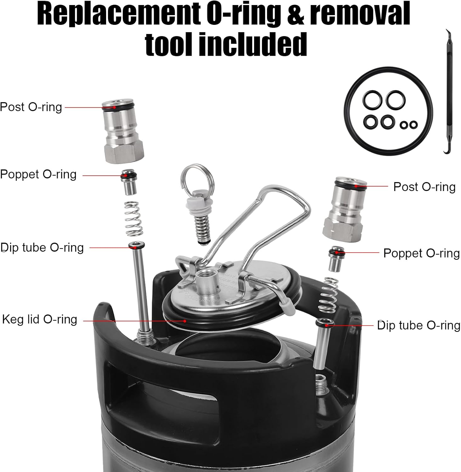 Ferroday Upgraded 5 Gallon Ball Lock Keg, Stainless Steel Corny Keg with Ball Lock Post, Portable Cornelius Beer Keg with Dual Rubber Handle, Gasket Set for Commercial Home Brewing