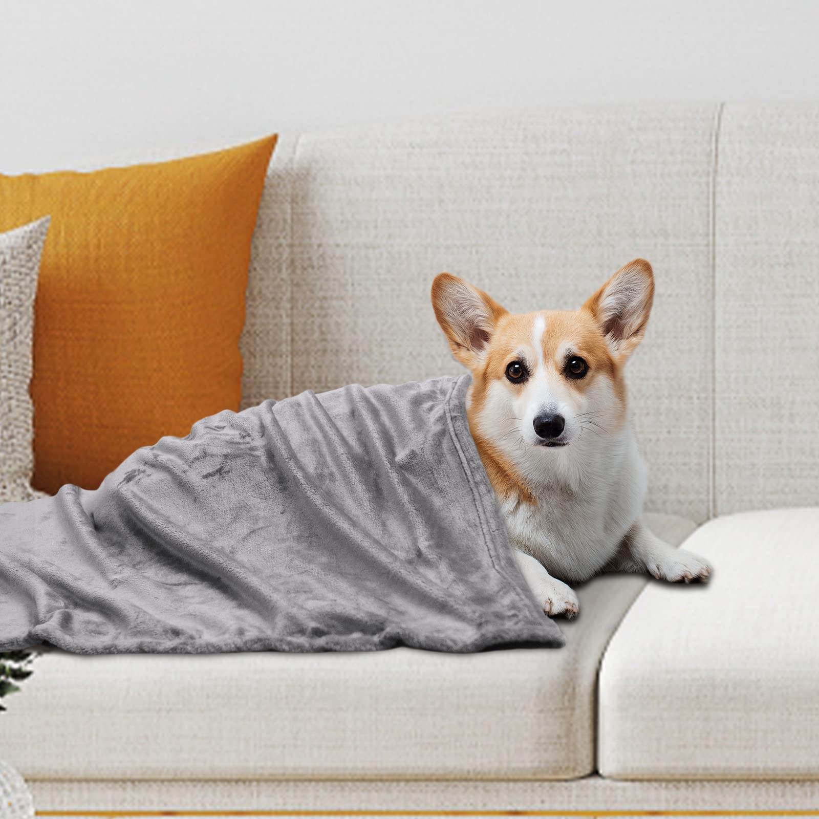 11 Best PetFriendly Throw Blankets 2023 The Strategist