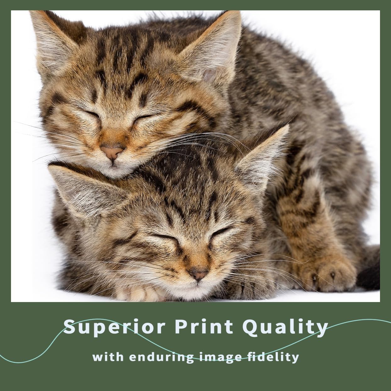 TK-1172 TK1172 Black Toner Cartridge 2 Pack 1T02Y80UX0 Replacement for ECOSYS M2040dn M2540dw M2640idw Printer