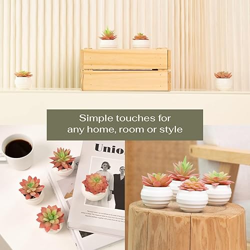 Miniatura 2 de VIVERIE 4 Piezas Suculentas Artificiales Rosa Verde en Macetas (Plástico) - Pequeñas Plantas Artificiales, Decoración de Oficina, Decoración