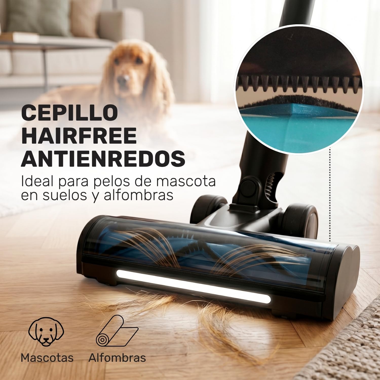 Taurus Aspiradora Escoba sin Cable Potente 780W Inhalambrica 90min Autonomia Flexible Pantalla LED con Cepillo Anti Enredos Aspirador Ligero Deposito 1,2 L Motor 310AW Digital - Nimbus Ultraboost