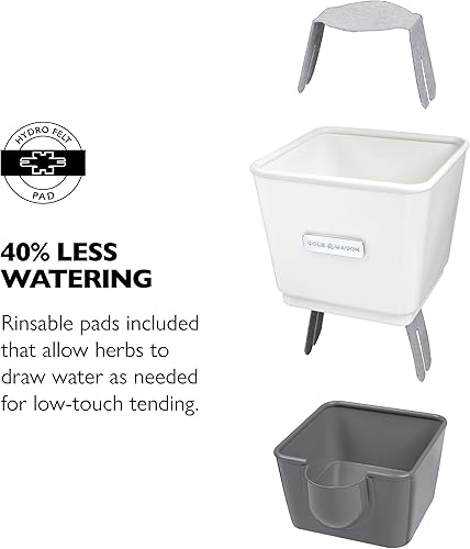 Miniatura 3 de Cole & Mason Guardián de hierbas en maceta de riego automático