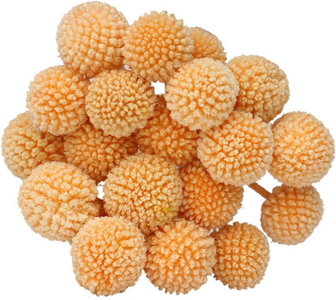 Craspedia globosa 20pcs material flower immortal eternal flowers gift，19 in