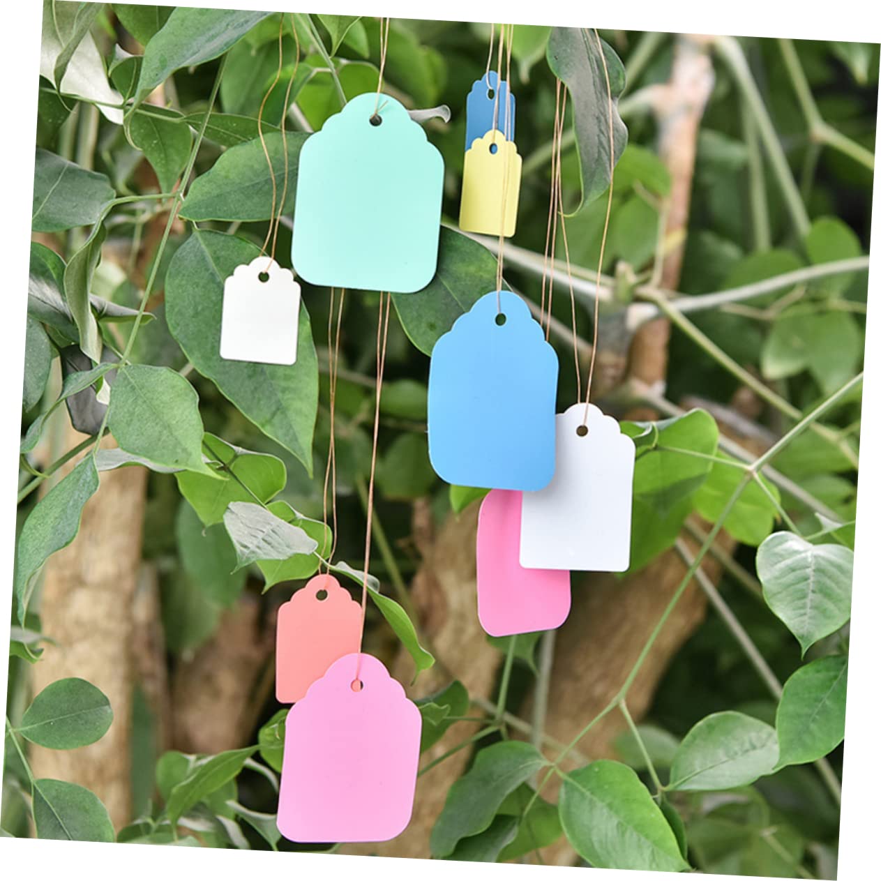 CIYODO Hanging Tags for Garden 500pcs Waterproof Labels Plastic Tags with Straps Green Hang for Flowerpot