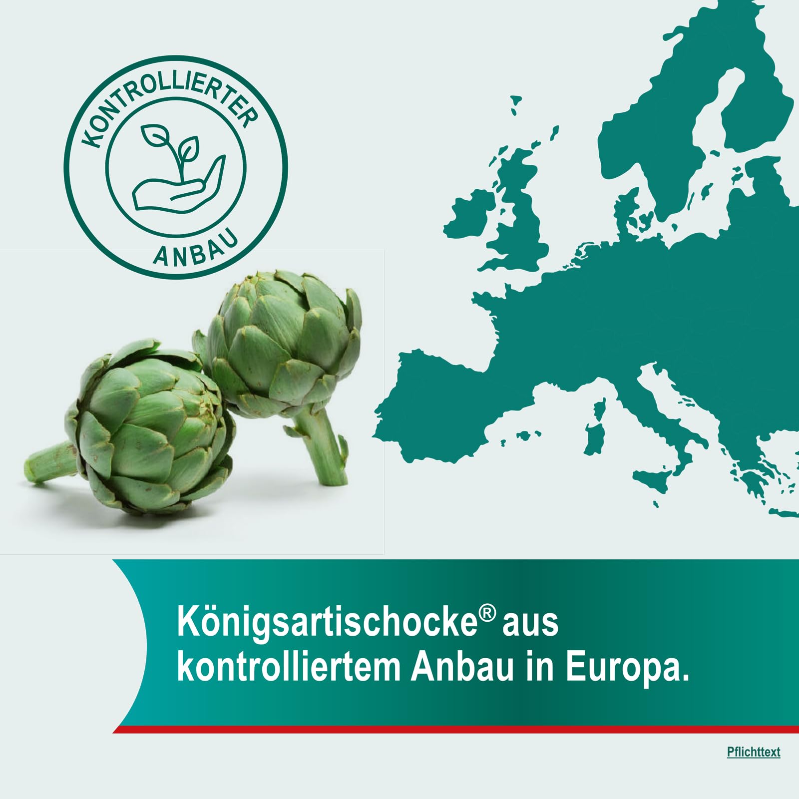 Hepar-SL 320 mg bei Verdauungsstörungen | 200 Hartkapseln | befreit von Völlegefühl, Blähungen, krampfartigen Bauchschmerzen & Sodbrennen | mit Spezialextrakt der Königsartischocke | ab 12 Jahren