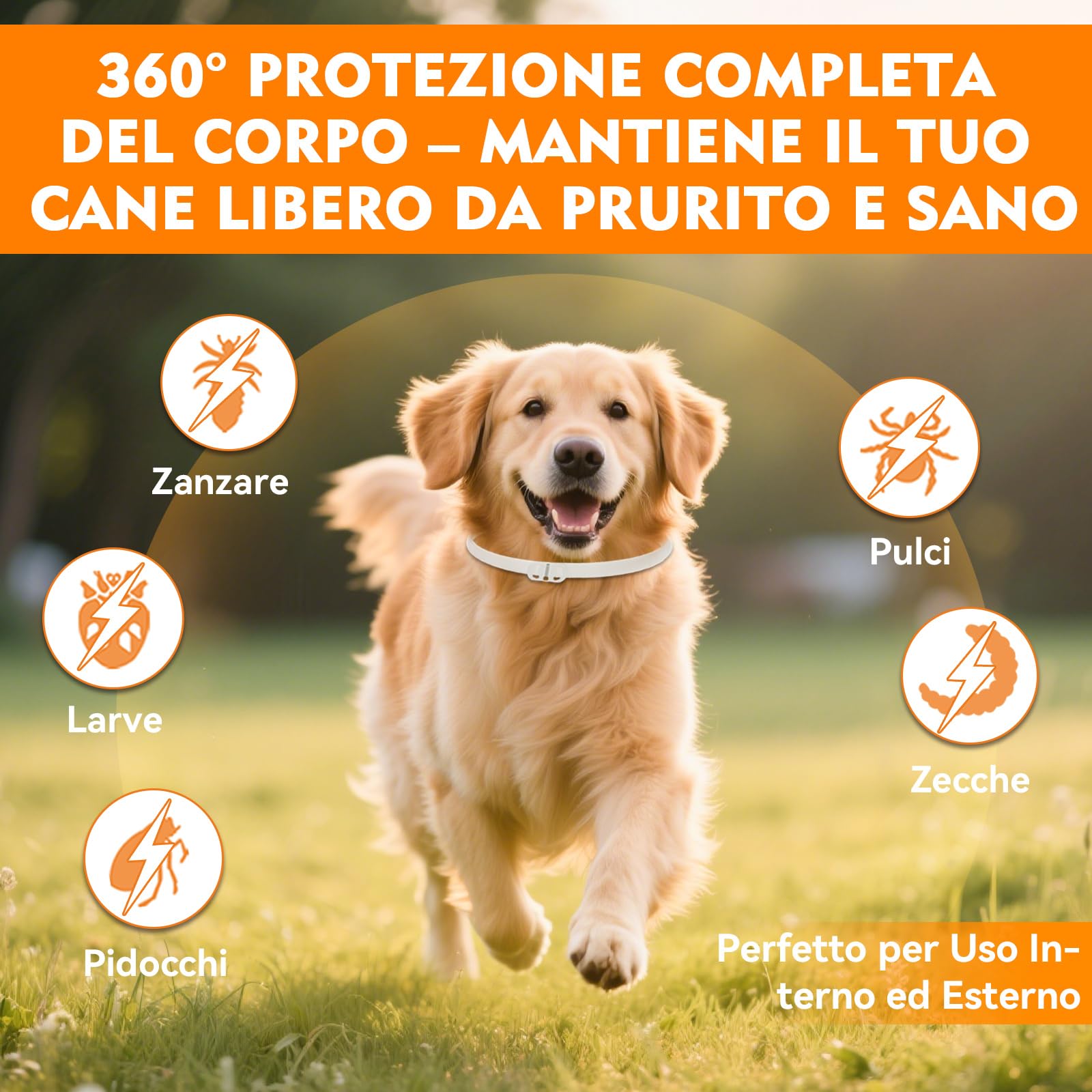 Collare Antiparassitario per Cani, Regolabile e Impermeabile con Protezione Naturale, 65cm Adatto a Tutte le Taglie, Protezione Efficace per 12 Mesi (1 Pack) - 2