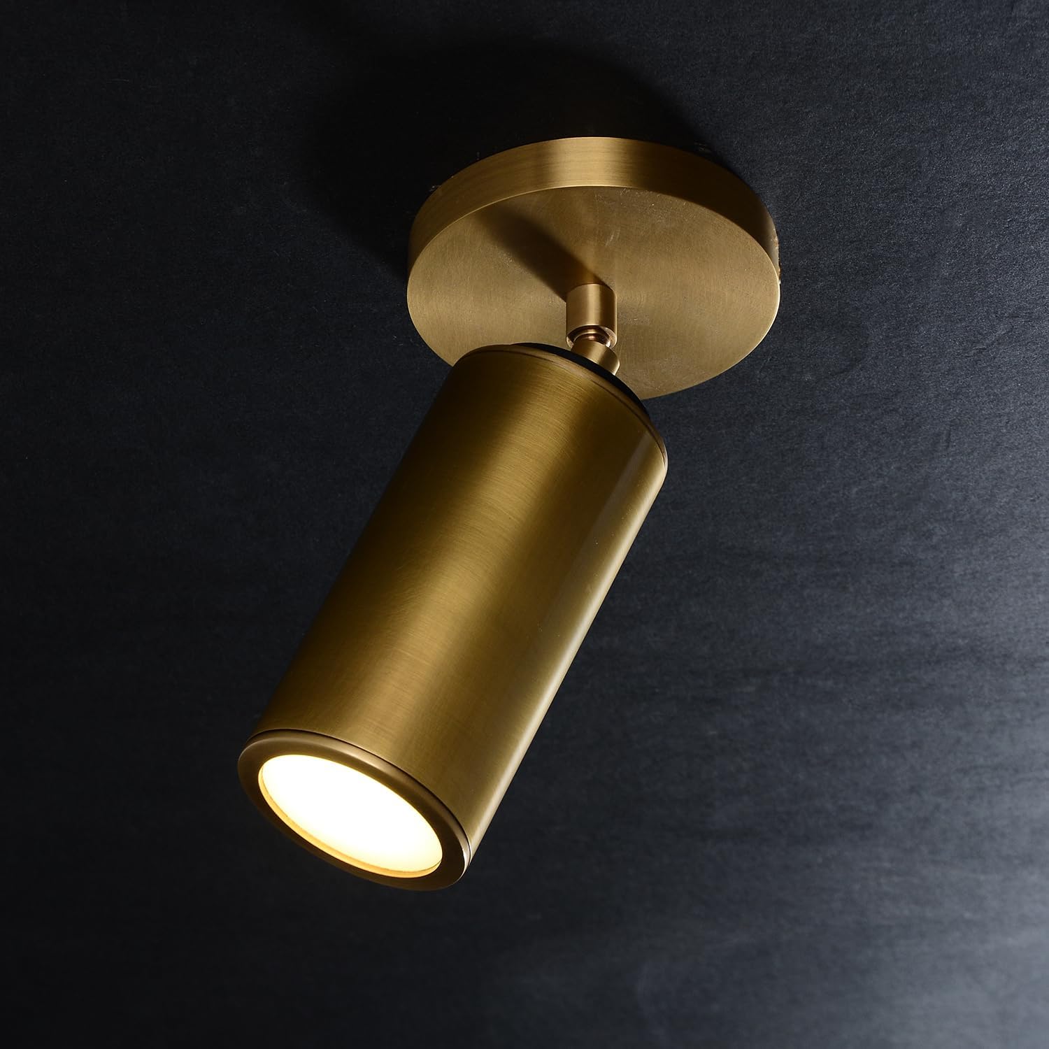 Cameron Adjustable Brass Ceilling Spotlight, Dimmable Directional Brass Wall Lighting Fixtures