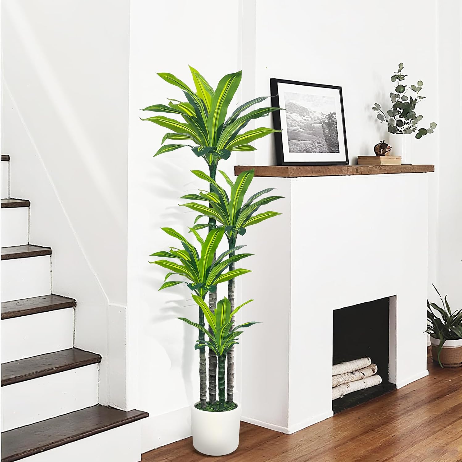 Artificial Dracaena Tree 6ft, Tall Fake Dracaena Plants with White Planter, Faux Dragon Tree Indoor Floor Plant for Home Decor Office Living Room Porch Housewarming (6ft) - Image 2